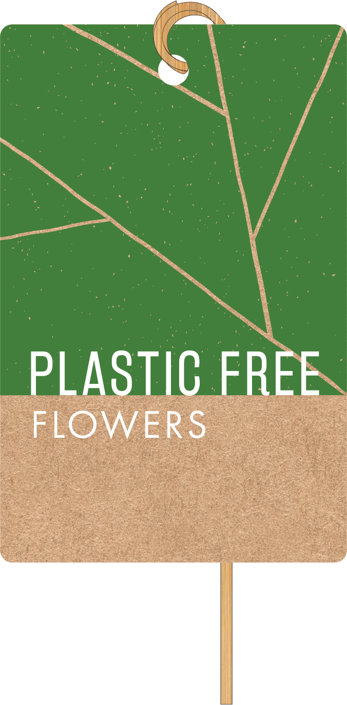 Plastic Free Everyday with Bamboo stick